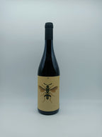 Romagna Sangiovese Predappio DOC "Il Sangiovese" 2023 - Noelia Ricci