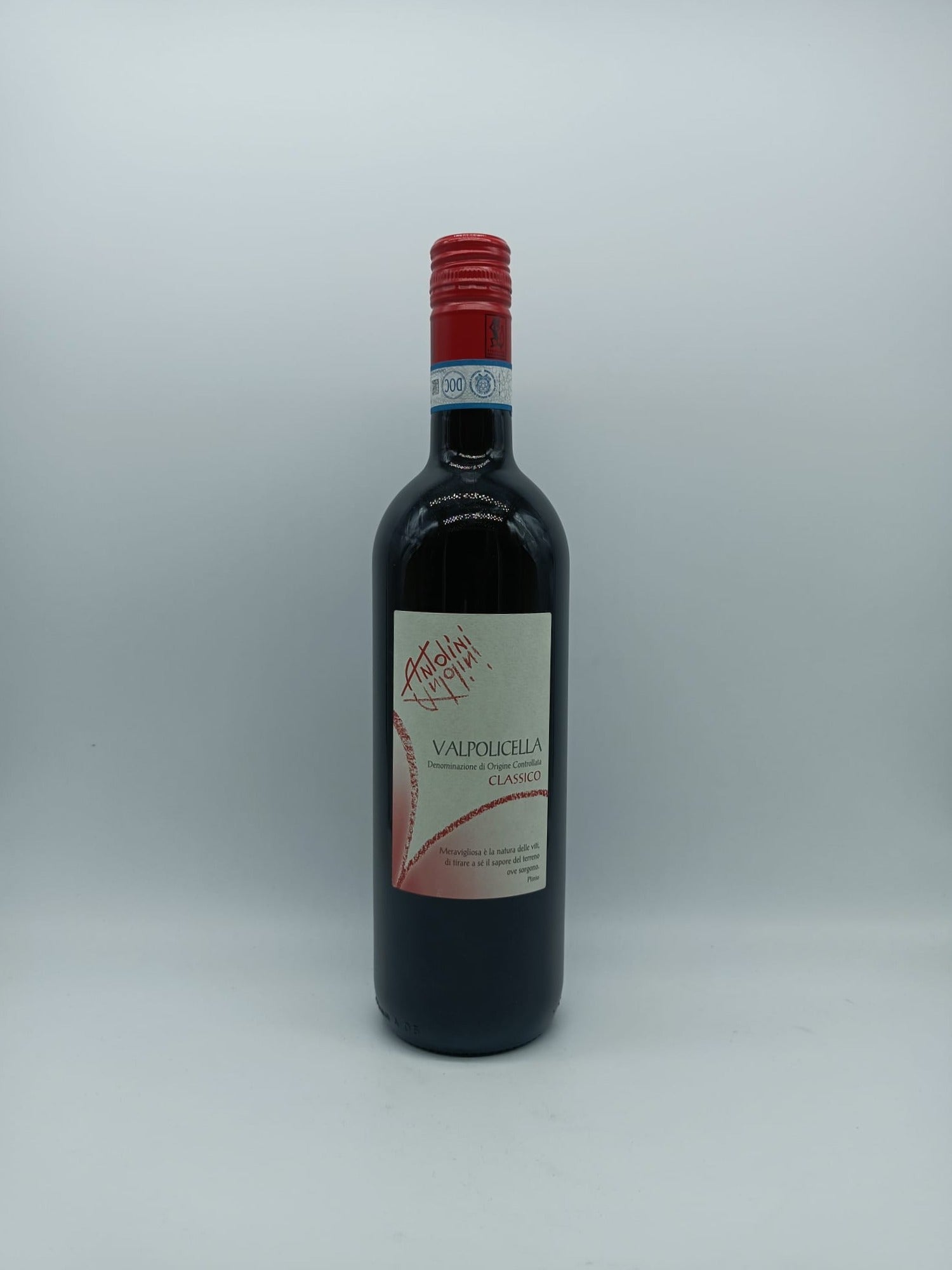 Valpolicella Classico DOC 2022 - Antolini