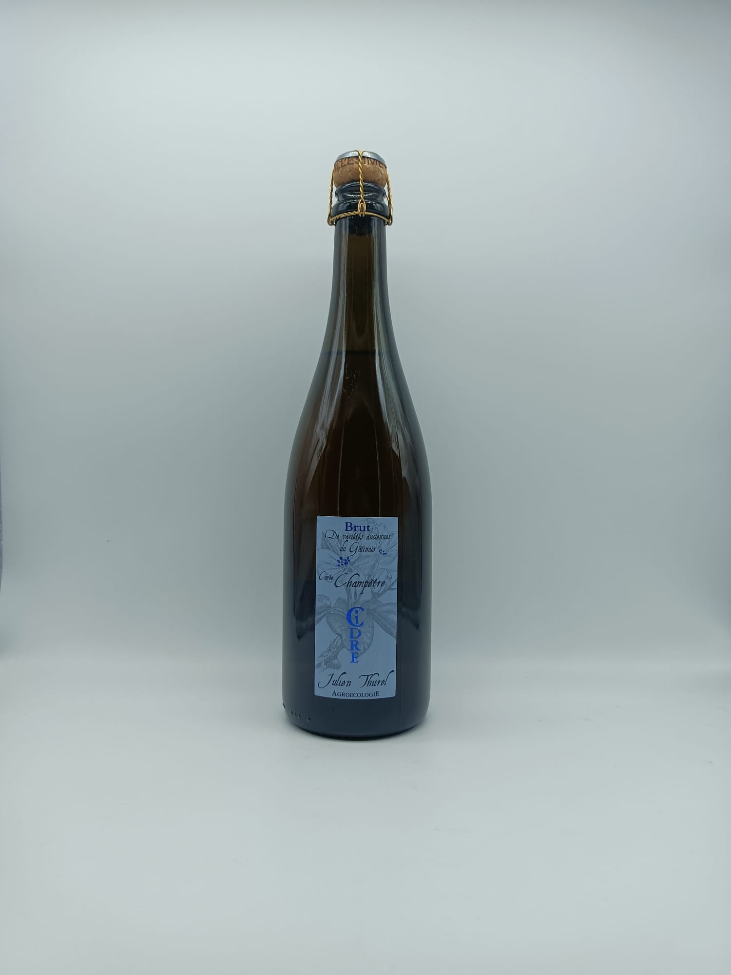 Sidro Champêtre Brut Médium 2021 - Julien Thurel