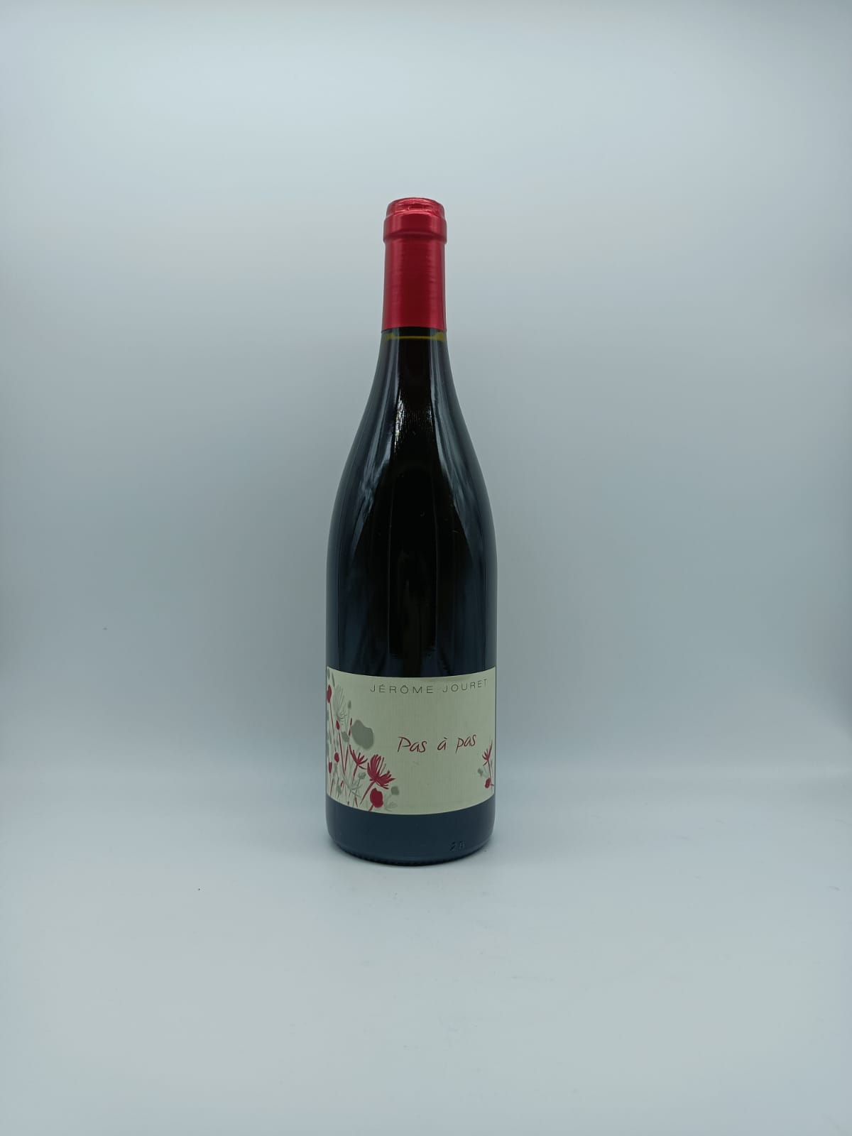 Pas a pas 2021 - Jérôme Jouret