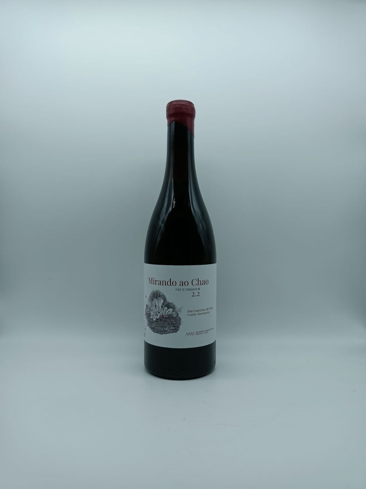 Mirando ao Chao 2022 - Antonio Mìguez Amil