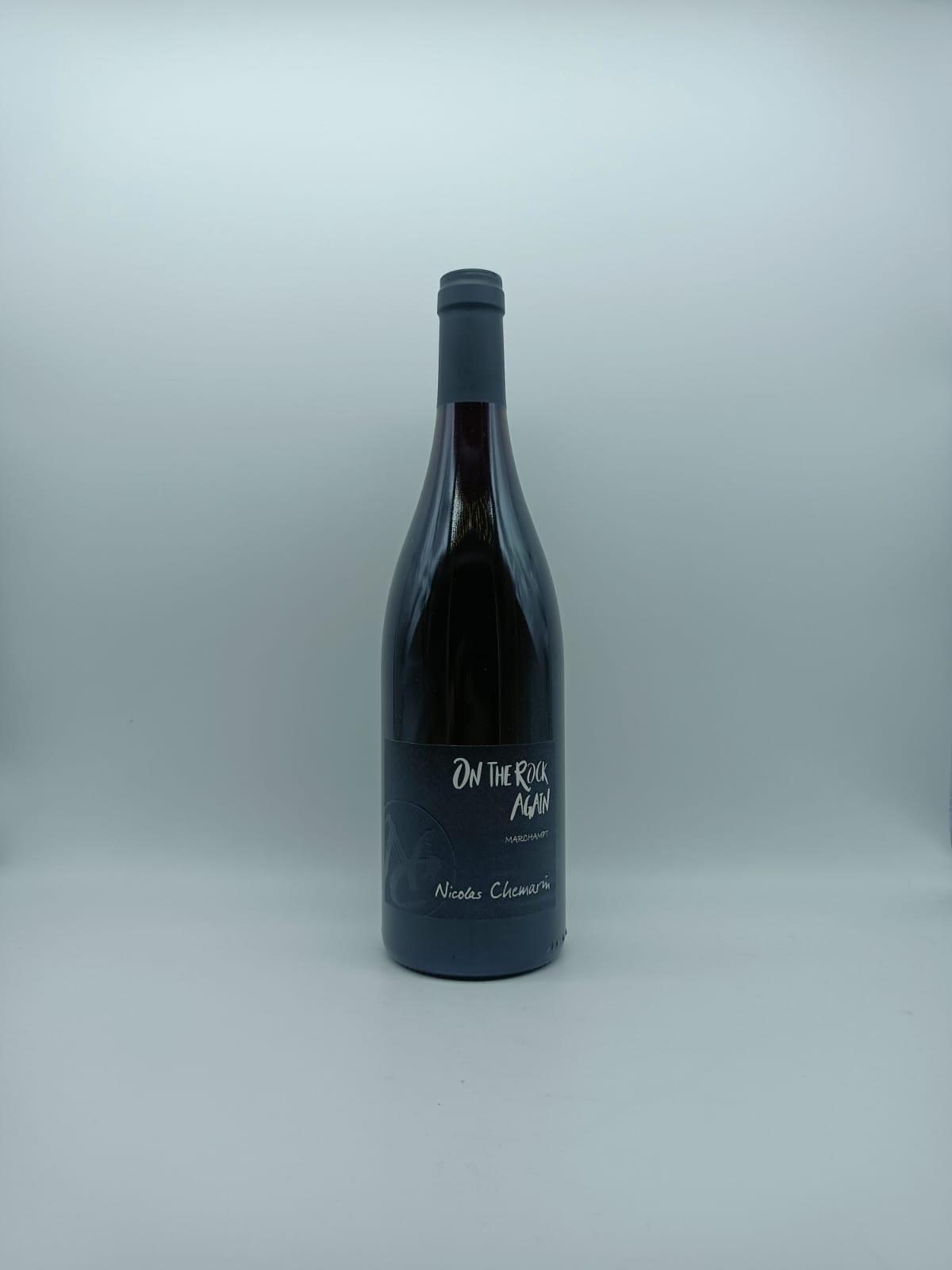 VDF On the Rock Again 2020 - Nicolas Chemarin