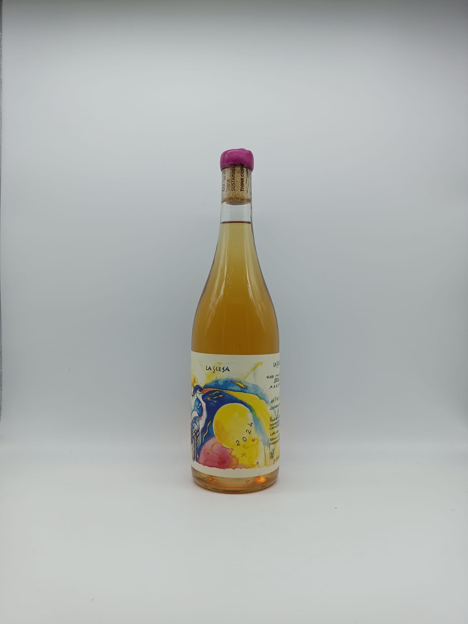 Nocchianello 2024 - La Scesa