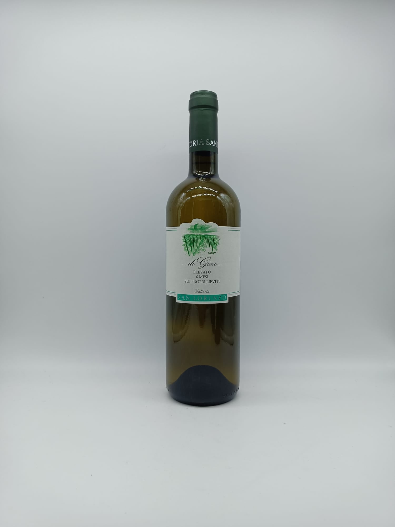 di Gino Bianco Marche IGT 2024 - Fattoria San Lorenzo