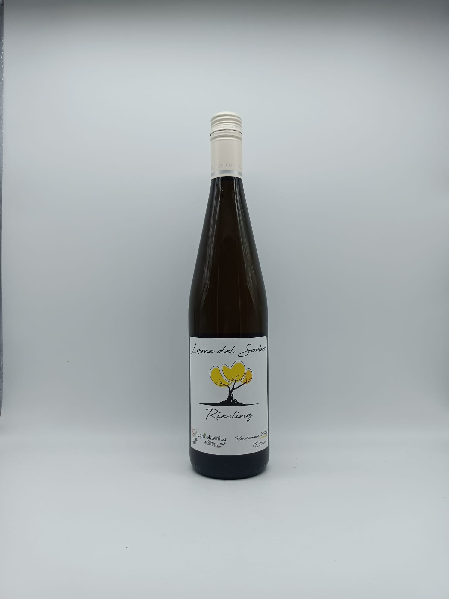 Riesling Lame del Sorbo Terre degli Osci IGT 2024 - Agricola Vinica