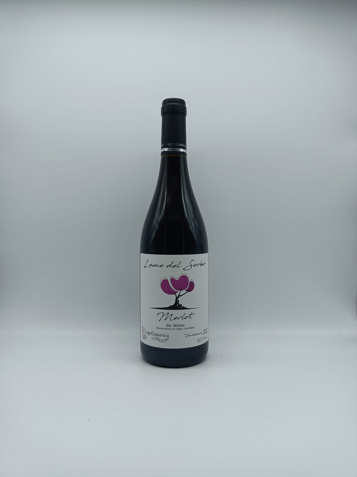 Merlot del Molise Lame del Sorbo 2019 - Agricola Vinica