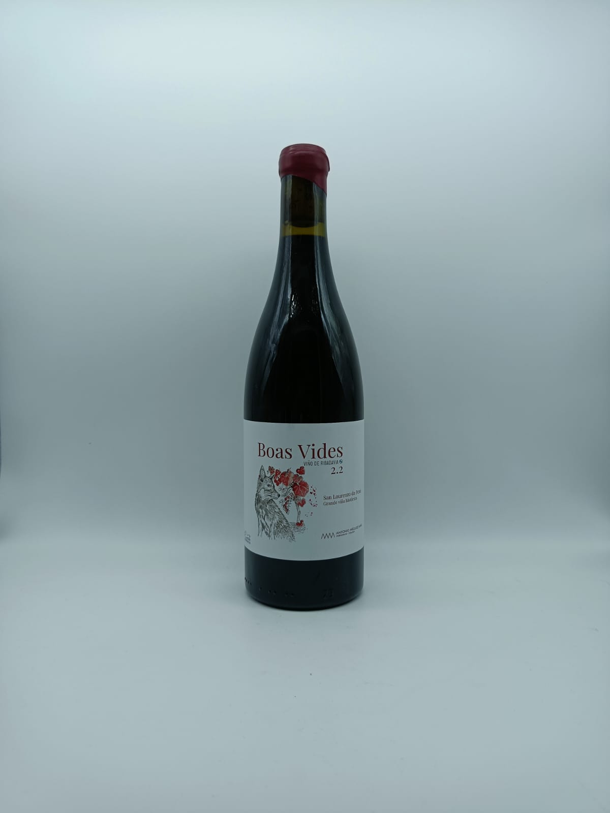 Boas Vides Rosso 2022 - Antonio Mìguez Amil